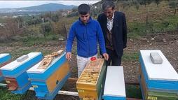 Osmaniye’de arıcılara, verimi artıracak ıslah edilmiş ana arılar dağıtılacak