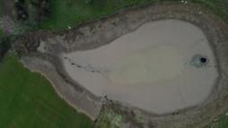 Göletin suyu boşalınca balıklar açıkta kaldı