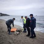 Tekirdağ'da ölü caretta caretta kıyıya vurdu