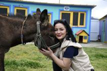 Kuşadası'nda saplandığı çamurdan kurtarılan eşek, koruma altına alındı