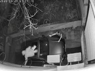 İzmir’deki hırsızlık girişiminde 2 şüpheli adli kontrolle serbest