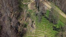 110 metrelik yolu olmadığı için evine 20 yıldır ilkel teleferikle gidiyor