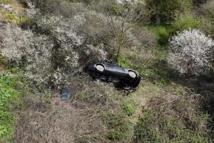 İstanbul- Eyüpsultan'da otomobil ormanlık alana uçtu; sürücü araçta sıkıştı