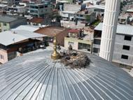 6 yıldır aynı yuvaya dönüyorlar