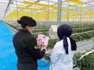 Kadına yönelik şiddetle mücadele çalışması