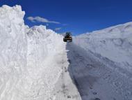 Van'da nisanda karla mücadele