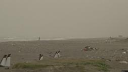 Doğu Akdeniz'de çöl tozu etkili oldu