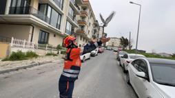 Avcılar'da havalandırma boşluğuna düşen güvercin ve martıyı itfaiye kurtardı