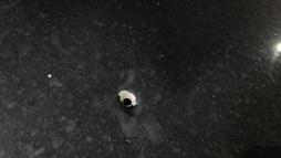 Bursa'da seyir halindeki otomobile mermi isabet etti