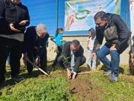 Ayvalık'ta ÇEDES Projesi kapsamında fidanlar toprakla buluşturuldu