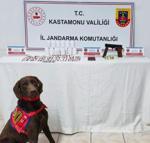 Kastamonu'da uyuşturucu operasyonları: 1 tutuklama