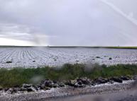 Saray'da dolu etkili oldu