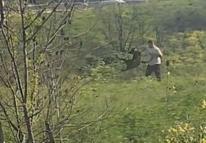 Avcılar'da köpeğe kemerle vuran kişi kamerada