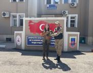 Kilis’te yaralı kızıl şahin bulundu