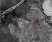 Kaybolan gebe inek, doğum yapmış halde AFAD ekiplerince bulundu