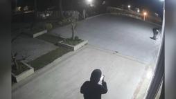 İstanbul’da suç örgütlerine operasyon: 17 gözaltı