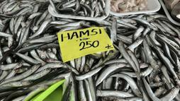 'Balıkta hızlı avcılık pek çok sıkıntıyı beraberinde getirdi'