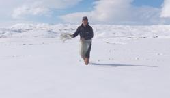 Karla kaplı tarlaya yonca ekti