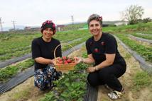 Organik çilekte hasat heyecanı başladı