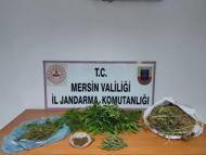 Mersin’de uyuşturucu operasyonu: 1 gözaltı