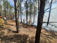 Mut'ta orman yangını tatbikatı