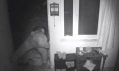 Yayla evlerine girip, mahallelerde dolaşan ayılar kamerada