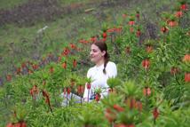 Muş'un zirveleri ters lalelerle renklendi