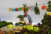 15. Uluslararası Alaçatı Ot Festivali'nde stantlar açıldı