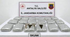 Araçta, 30 kilogram uyuşturucu