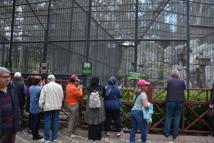 Emekliler doğayla buluştu