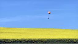 Sarı renge bürünen kanola tarlası üzerinde paramotorla uçtu