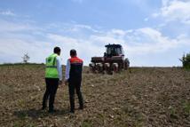 Edirne’de 70 dönümlük alana yerli hibrit ayçiçeği tohumu ekildi