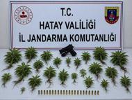 Hatay'da 71 kişi gözaltına alındı