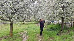Zirai don ve doğal afetlere karşı saha kontrolü