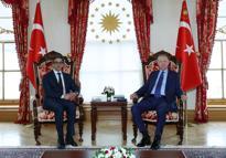 Cumhurbaşkanı Erdoğan, BAE Devlet Başkanı yardımcısı Şeyh Mansur Bin Zayid Al Nahyan’ı kabul etti