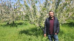 Kirazda don riski atlatıldı, rekolte beklentisi yükseldi