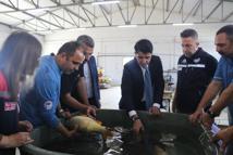 Edirne’de sazan balığı yavrusu üretimine başlandı