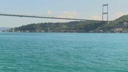 İstanbul Boğazı'nda yunus sürprizi