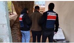 Nevşehir merkezli 5 ilde araç kiralama dolandırıcılığı operasyonu; 6 tutuklama