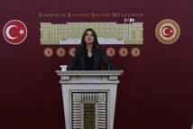 DEM Parti'li Koçyiğit: Barışın hukuka ihtiyacı var