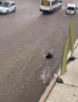 Ankara'da sağanak; alt geçit ve caddeler suyla doldu (2)