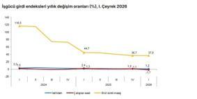 TÜİK: İstihdam endeksi yıllık yüzde 1,2 arttı