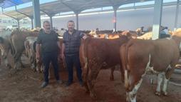 Niğde'de kurban hareketliliği başladı