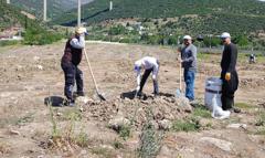 Gaziantep'te üniversite öğrencileri fidan dikti