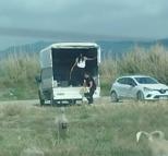 Kuşların doğal alanına kamyonetle çok sayıda köpek bıraktılar