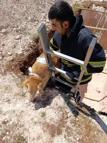 Mardin’de inşaat çukuruna düşen köpeği itfaiye kurtardı