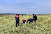 Edirne’de, doludan etkilenen tarlalarda inceleme