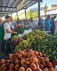 Hatay'da DOĞAKA desteğiyle semt pazarı açıldı