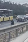 Büyükçekmece'de D-100'de elinde bıçakla polisi harekete geçirdi; trafik yoğunluğu oluştu
