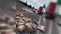 Ankara'da zincirleme kaza; TIR'lardaki patatesler yola saçıldı